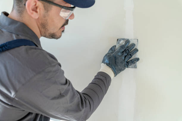 Best Drywall Sanding and Smoothing  in Reinbeck, IA