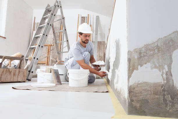 Best Residential Painting  in Reinbeck, IA