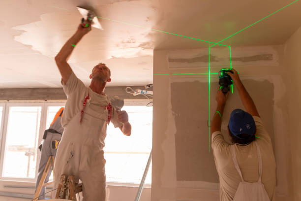 Best Water-Damaged Drywall Repair  in Reinbeck, IA