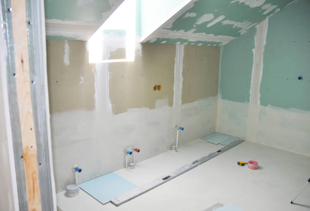 Best Drywall Crack Repair  in Reinbeck, IA